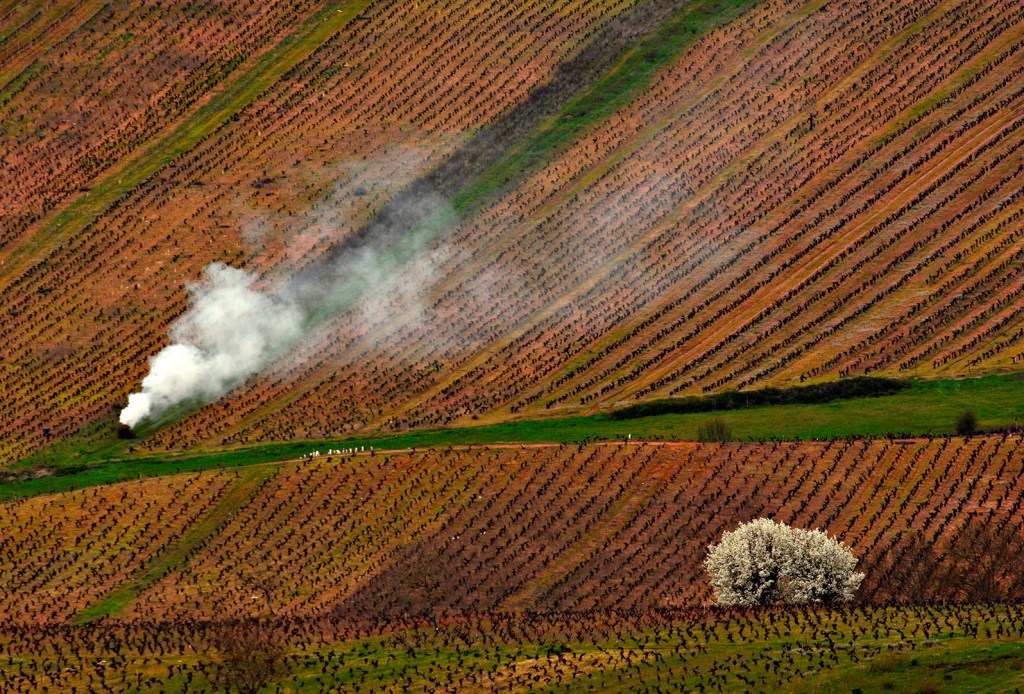 Valtuille de Abajo, Villafranca del Bierzo, El Bierzo, León, Castilla y León, España.