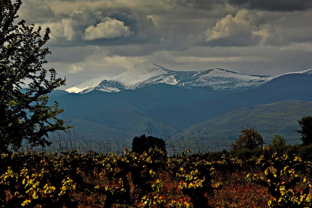 Camponaraya, El Bierzo, León, Castilla y León, España.