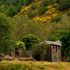 SERIE : LUZ SIN TIEMPO (20)