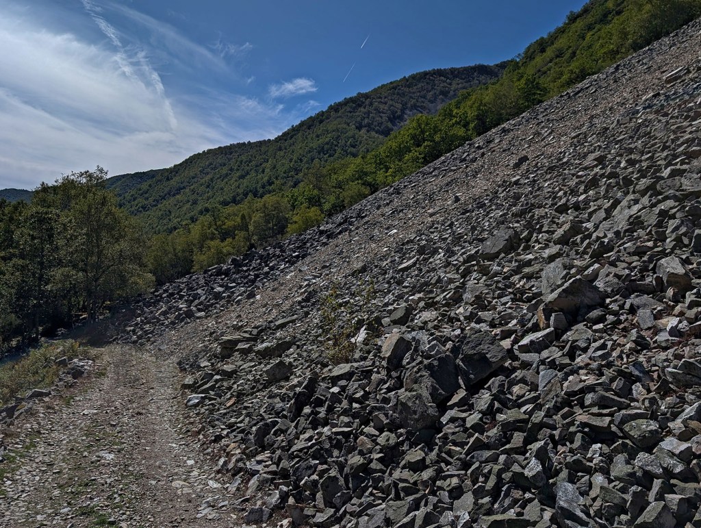 Cerca de las Brañas de Pedroso y Fontellada, Palacios del Sil, Alto Sil, El Bierzo, León, Castilla y León, España.