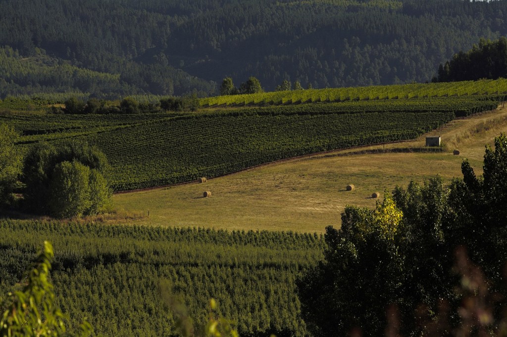 Magaz de Arriba, Arganza, El Bierzo, León, Castilla y León, España.