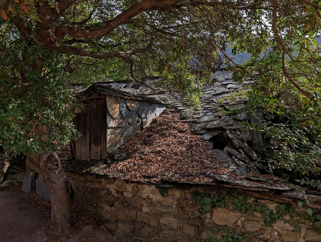 Penoselo, Vega de Espinareda, El Bierzo, León, Castilla y León, España.