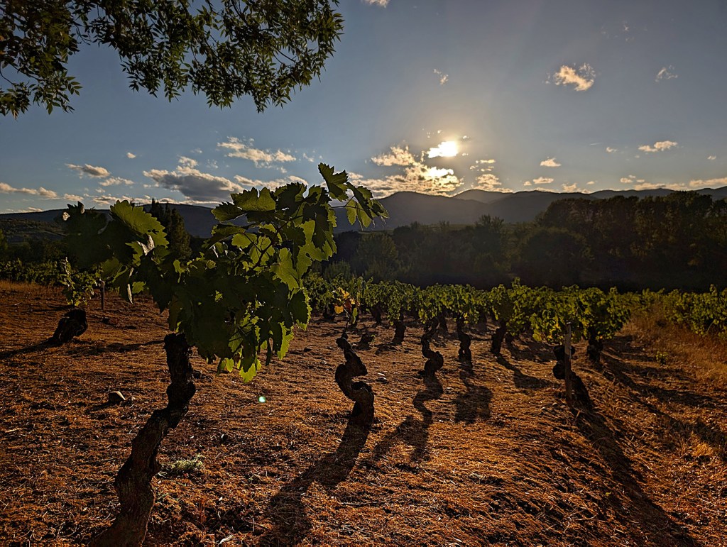 Villadecanes, Toral de los Vados, El Bierzo, León, Castilla y León, España.