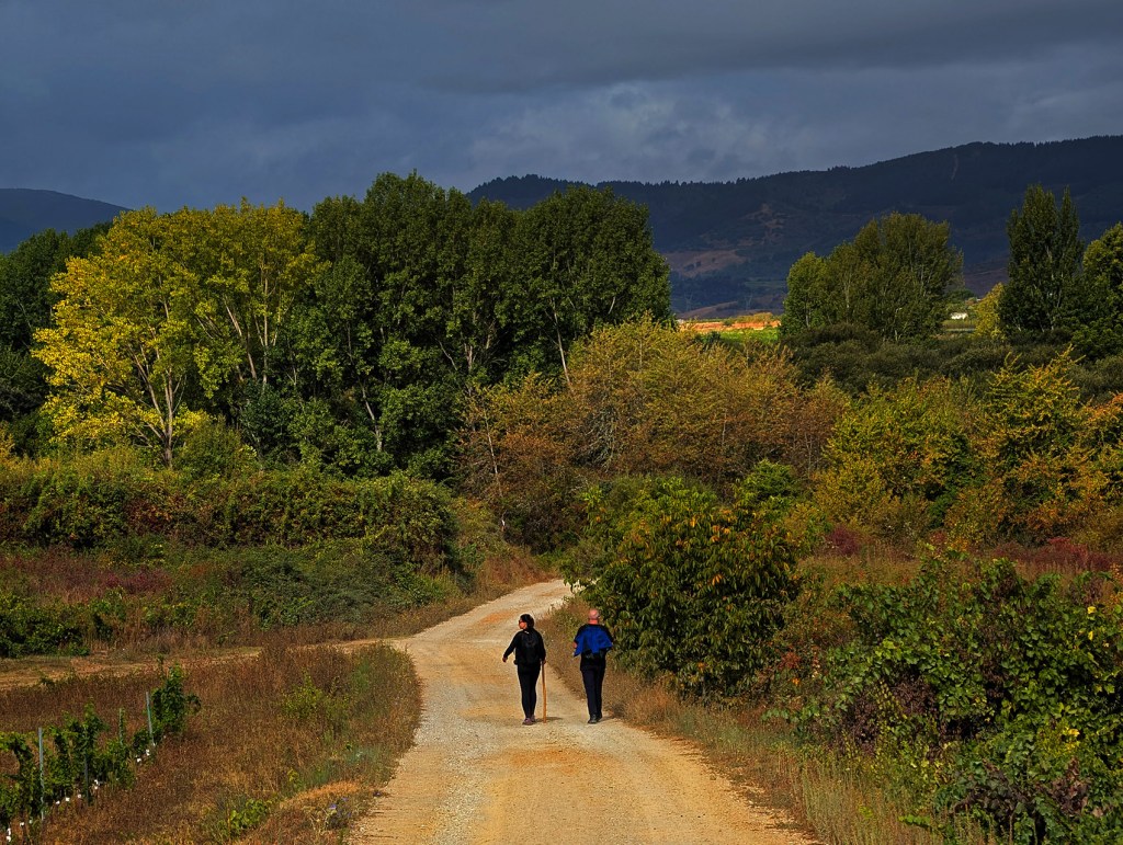 En dirección a Cacabelos, El Bierzo, León, Castilla y León, España.