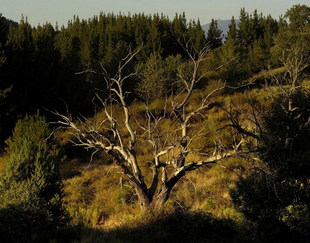 Valle de Finolledo, Vega de Espìnareda, El Bierzo, León, Castilla y León, España.
