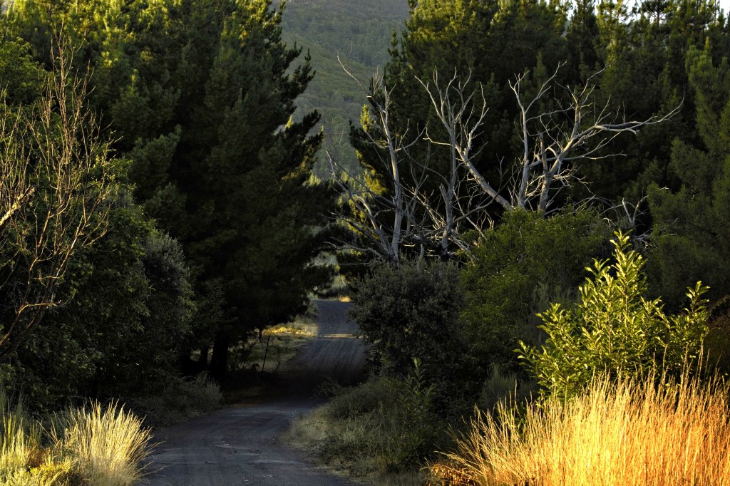 Valle de Finolledo, Vega de Espinareda, El Bierzo, León, Castilla y León, España.