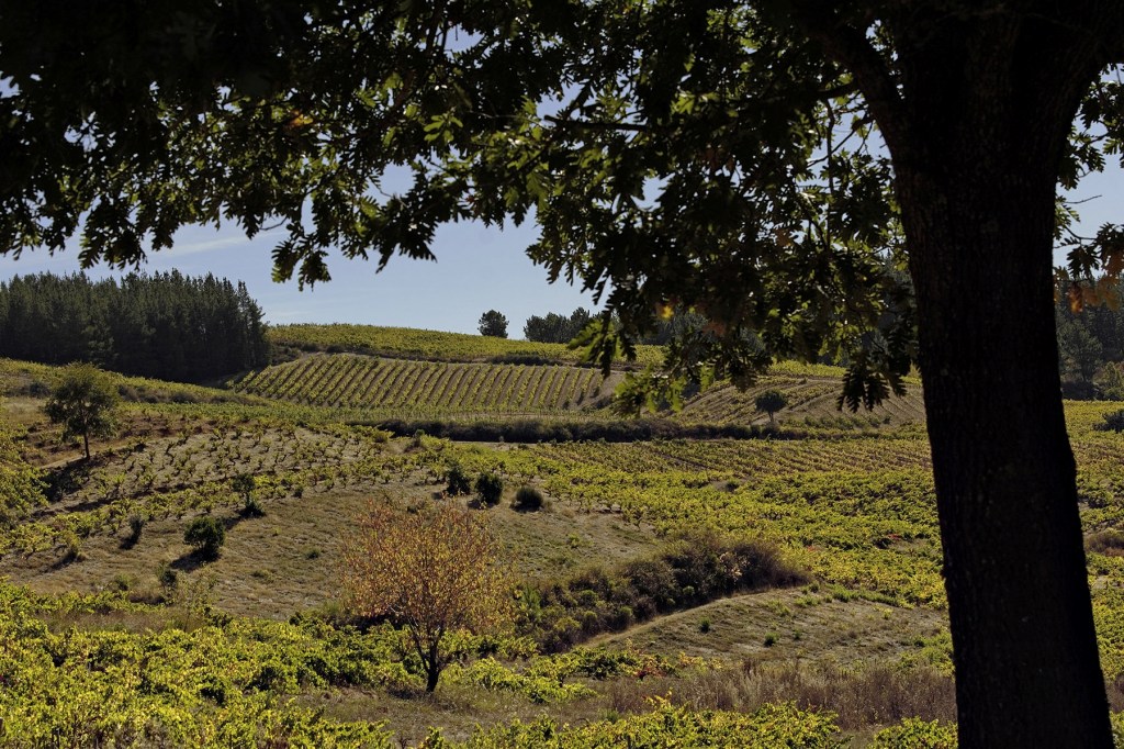 San Clemente, Cacabelos, El Bierzo, León, Castilla y León, España.