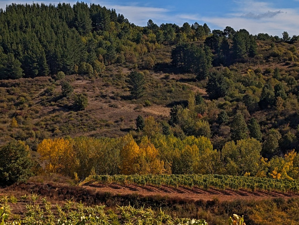 Pieros, Cacabelos, El Bierzo, León, Castilla y León, España.