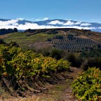 SERIE : LUZ SIN TIEMPO (28)