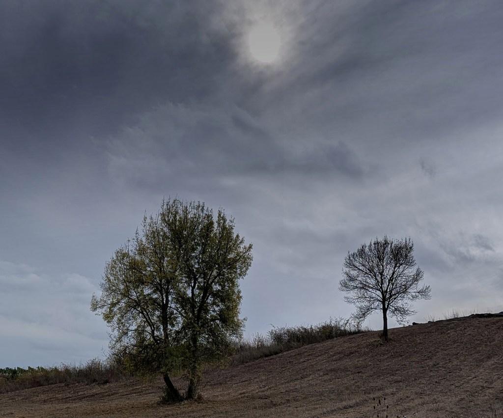 Magaz de Arriba, Arganza, El Bierzo, León, Castilla y León, España.