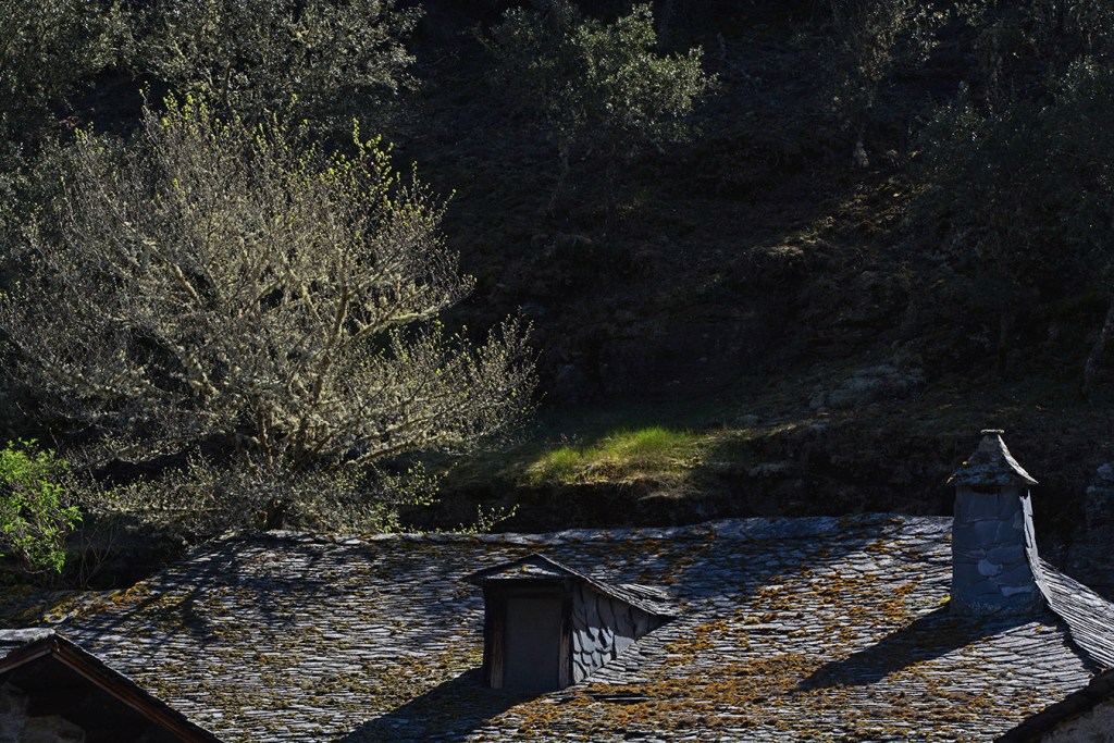 San Vicente, Arganza, El Bierzo, León, Castilla y León, España.