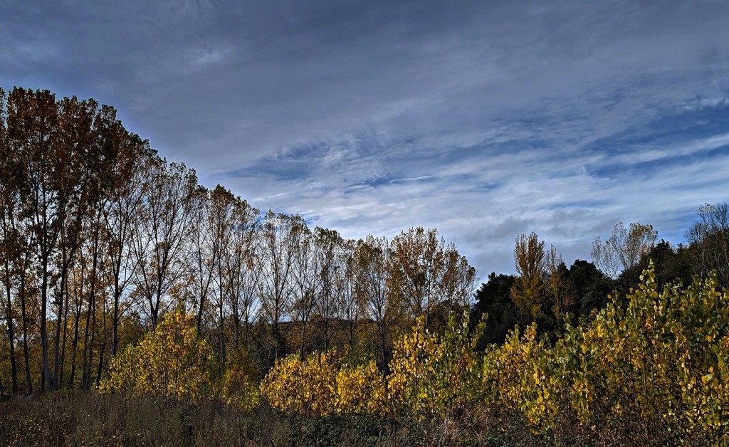 Magaz de Arriba, Arganza, El Bierzo, León, Castilla y León, España.
