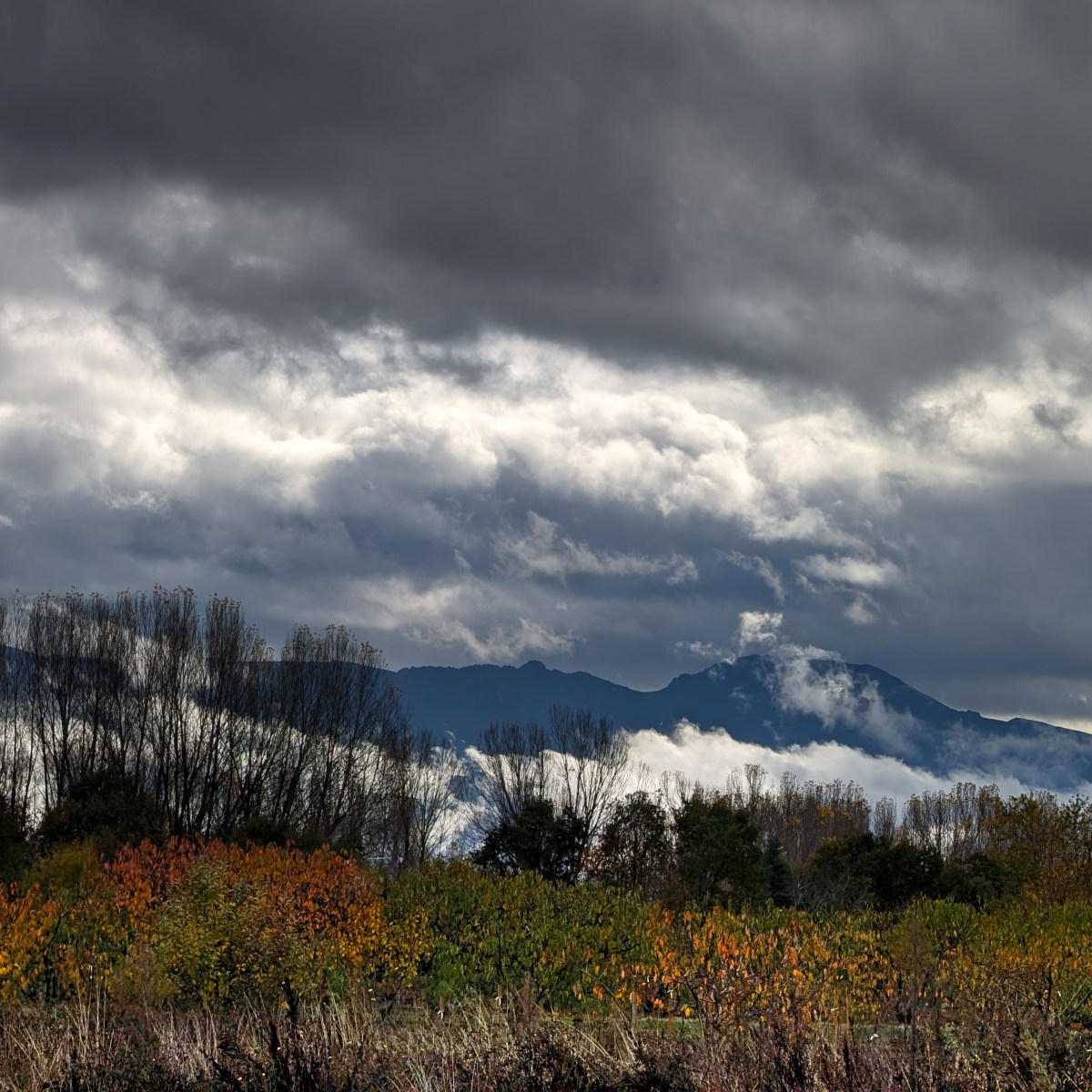 SERIE : LUZ SIN TIEMPO (30)