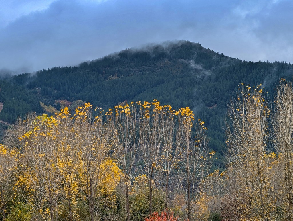 La Edrada en Cacabelos, El Bierzo, León, Castilla y León, España.