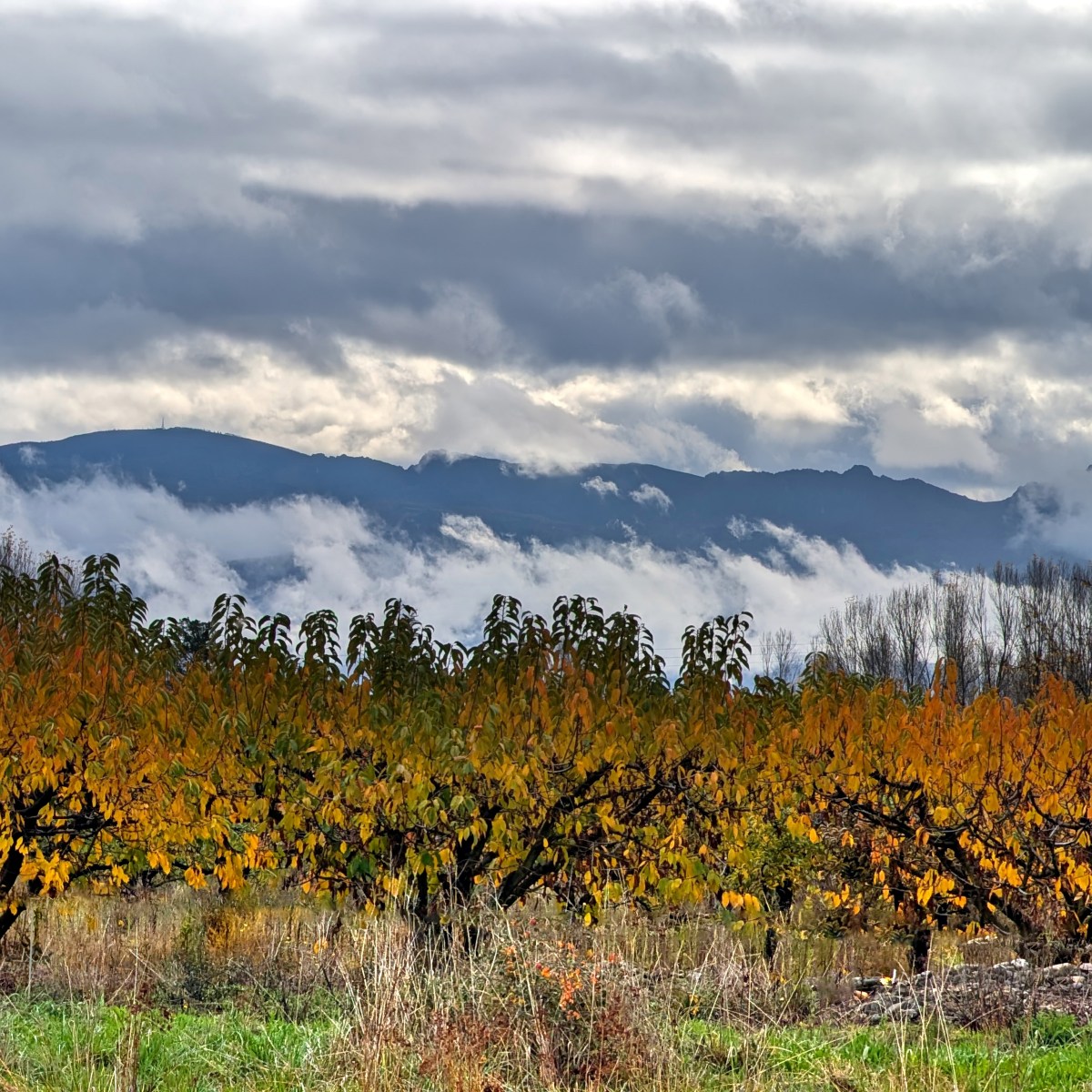 SERIE : LUZ SIN TIEMPO (31)