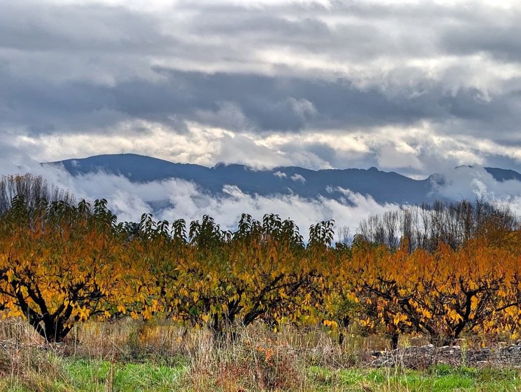 Quilós, Cacabelos, El Bierzo, León, Castilla y León, España.