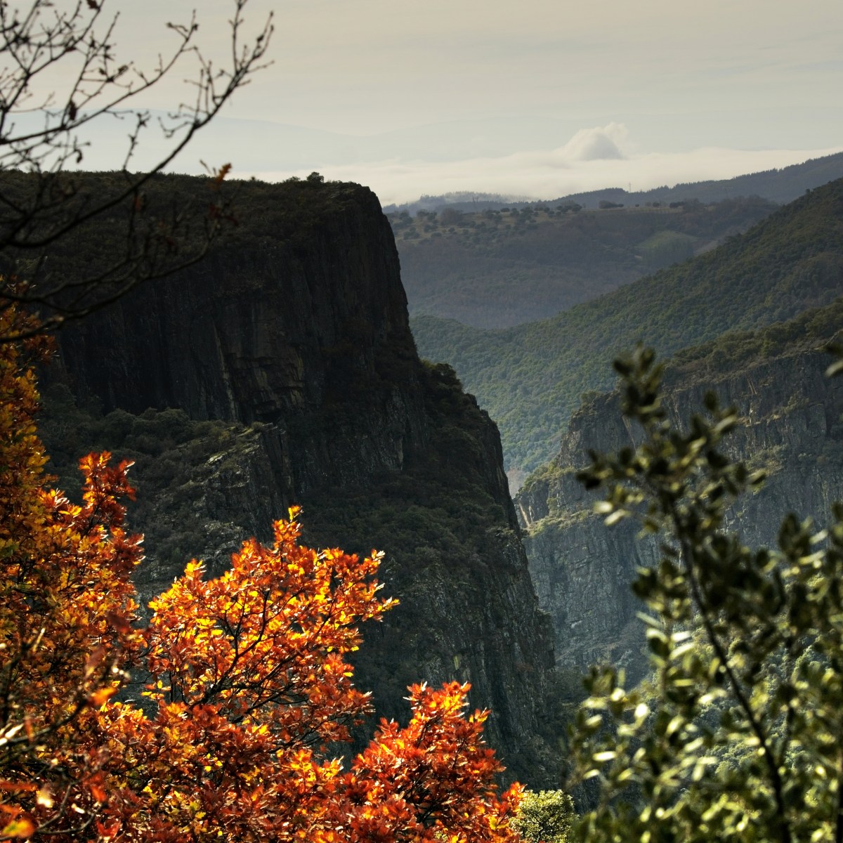 SERIE : LUZ SIN TIEMPO (33)