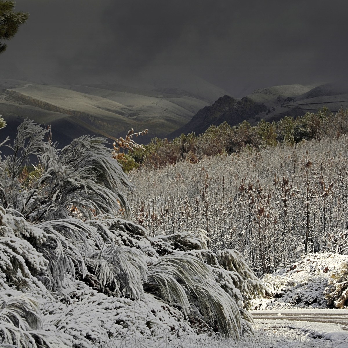 SERIE : LUZ SIN TIEMPO (34)