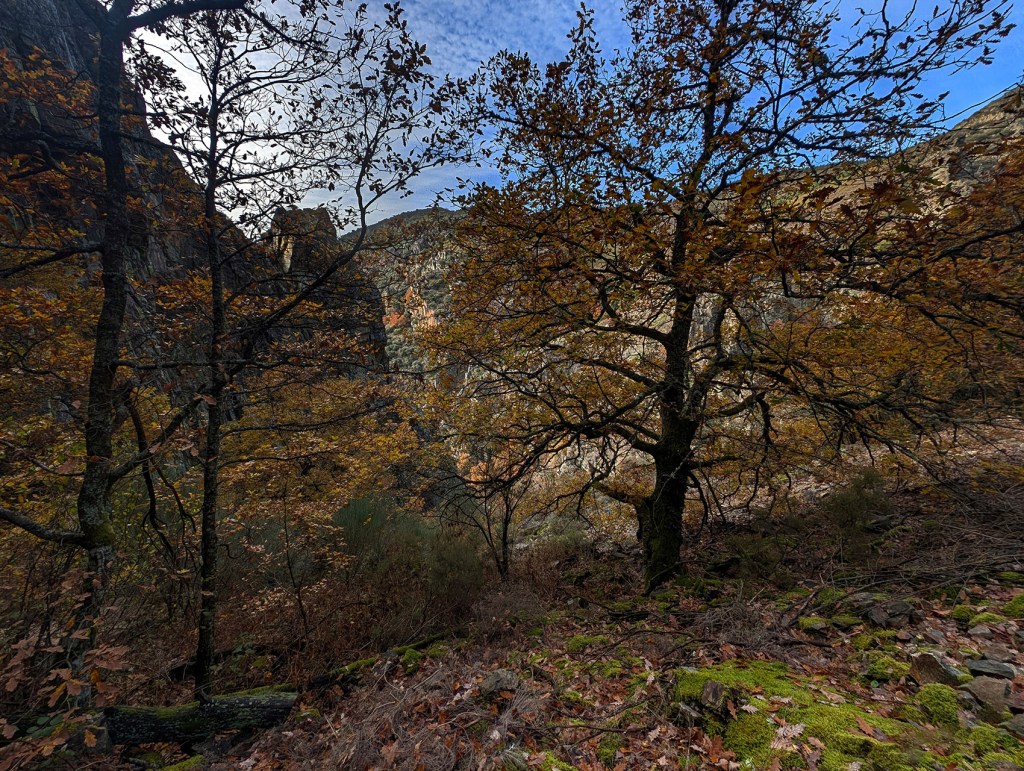 Librán, Toreno, El Bierzo, León, Castilla y León, España.