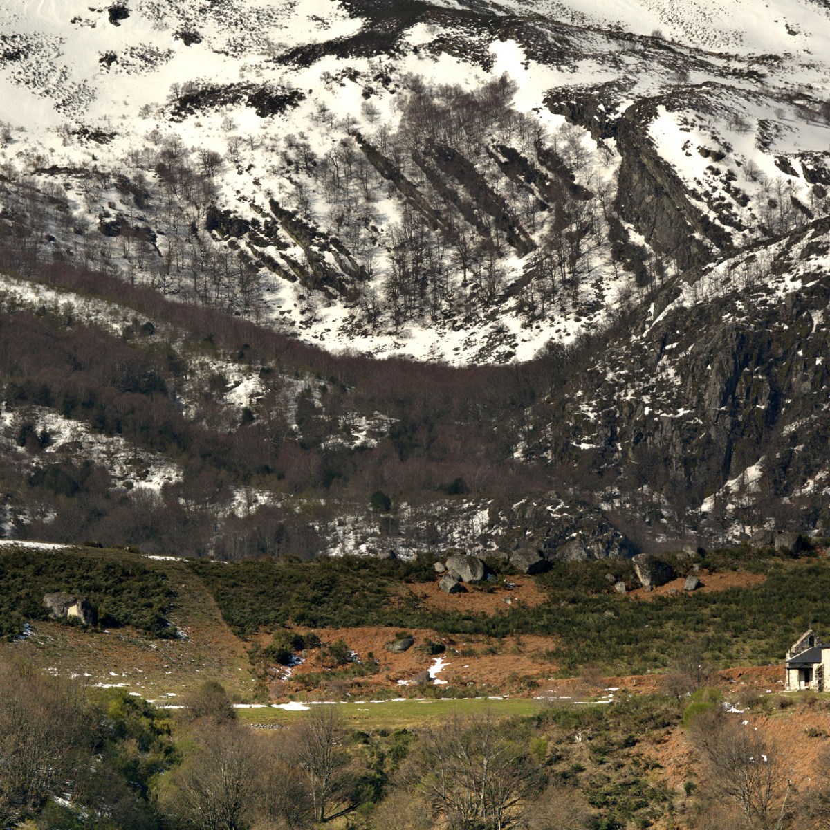 SERIE : LUZ SIN TIEMPO (37)