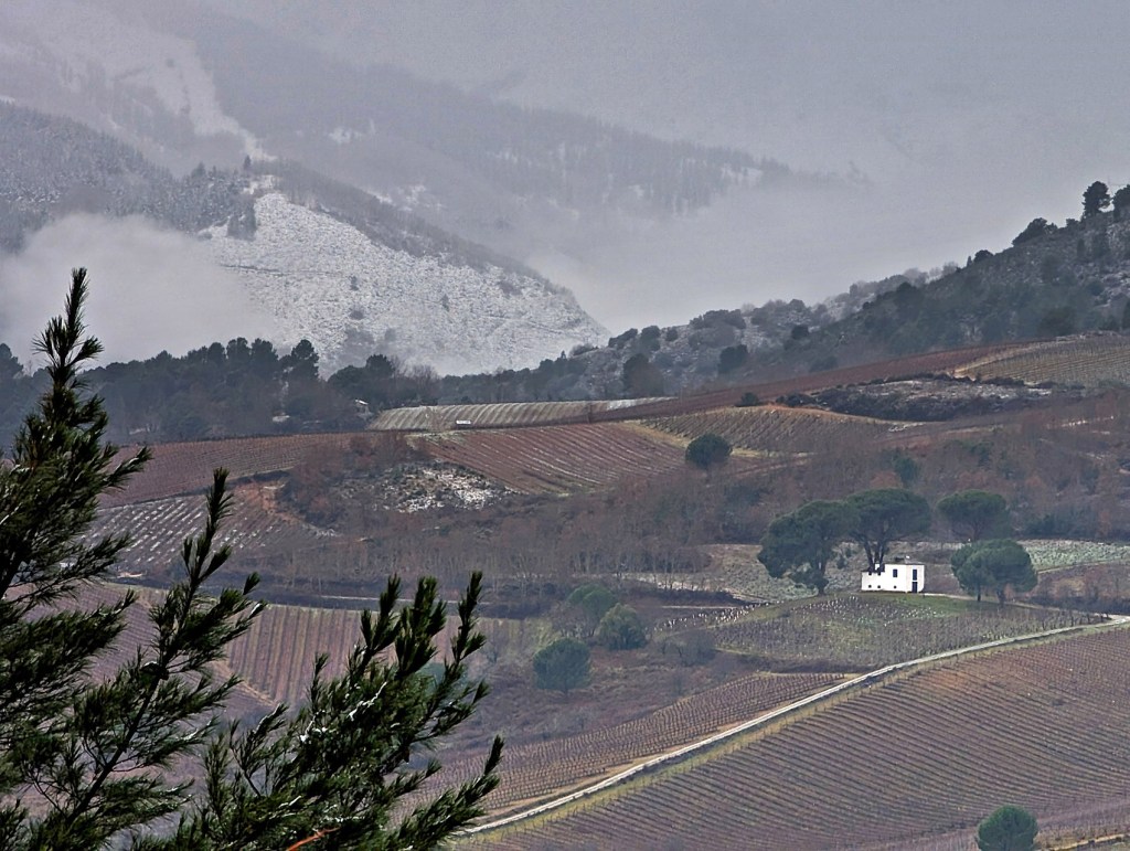 Entre Villafranca del Bierzo, Valtuille de Arriba y Valtuille de Abajo, El Bierzo, León, Castilla y León, España.