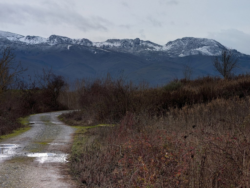 Toma desde uno de los caminos en el municipio de Camponaraya, El Bierzo, León, Castilla y León, España.