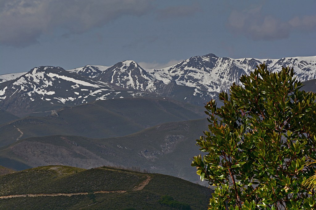 Sierra de Ancares, Ancares, León, Castilla y León, España.