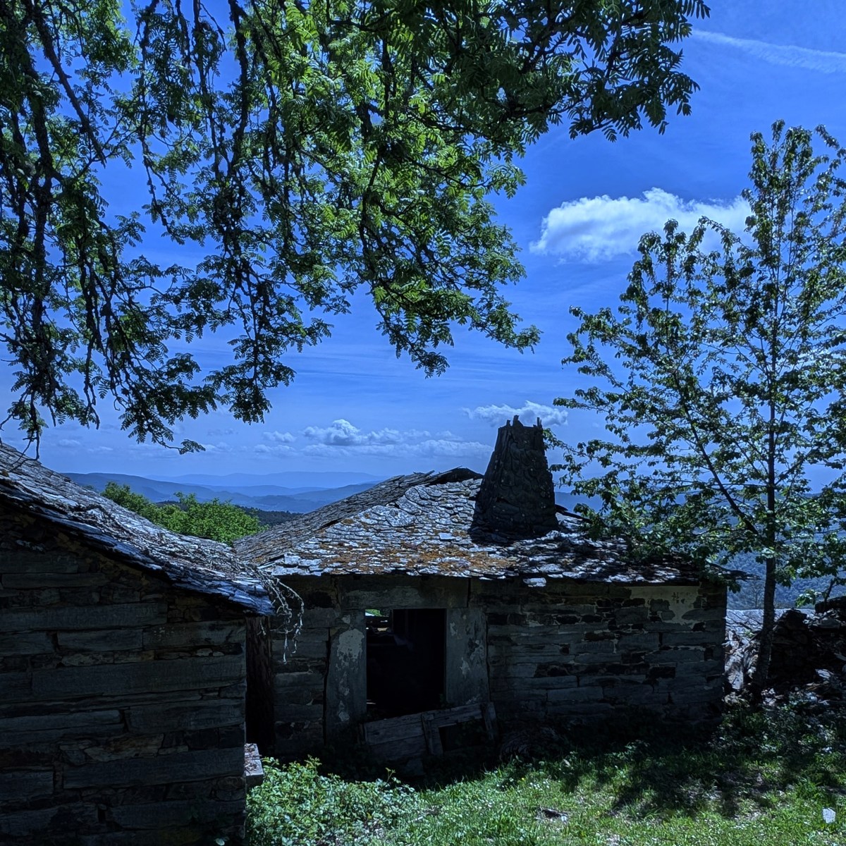 SERIE : LUZ SIN TIEMPO (42)