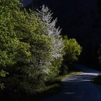 SERIE : LUZ SIN TIEMPO (47)