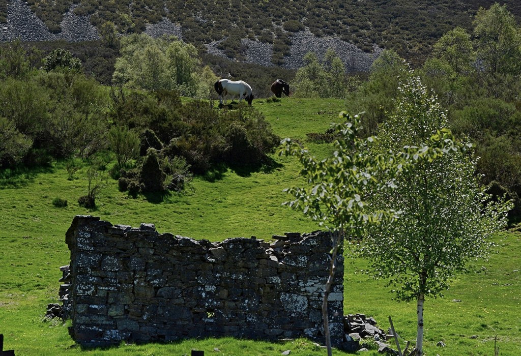 Cuevas del Sil, Palacios del Sil, El Bierzo, León, Castilla y León, España.