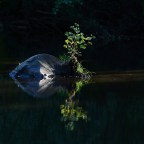 SERIE : LUZ SIN TIEMPO (49)