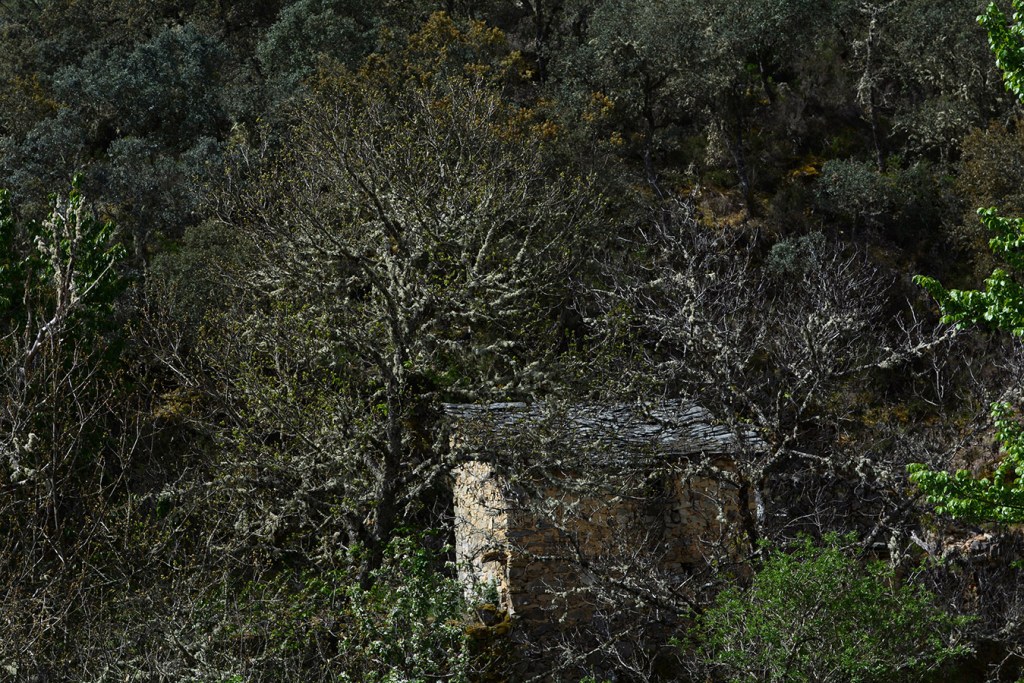 La Bustarga, Vega de Espinareda, El Bierzo, León, Castilla y León, España.