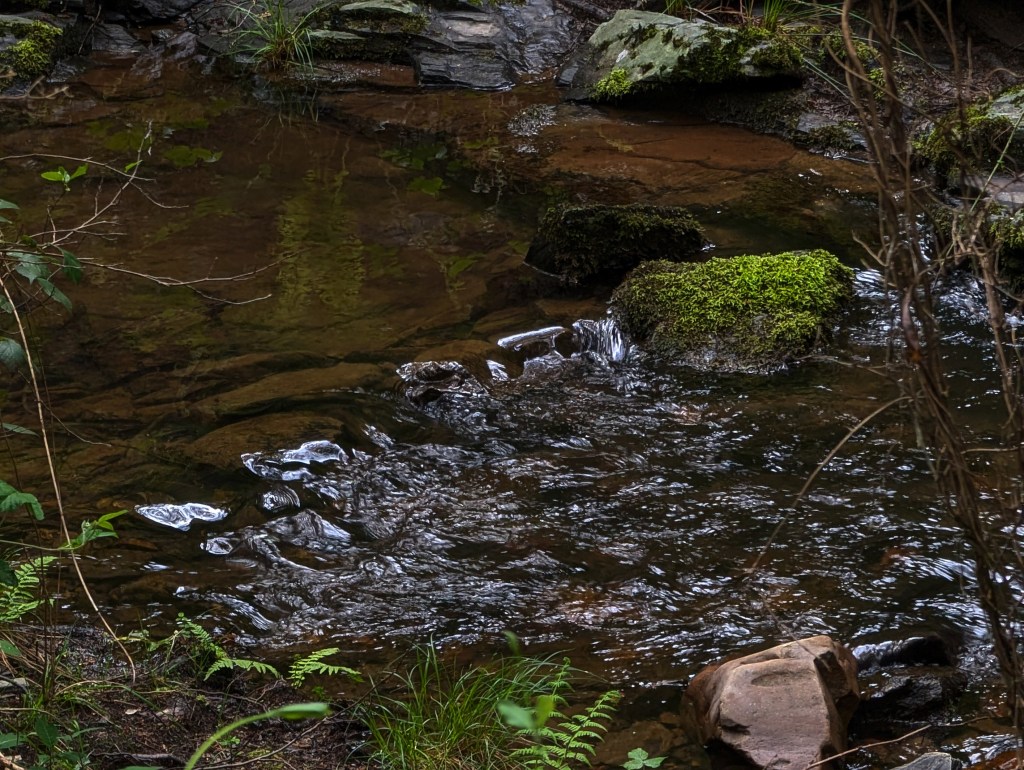 Aguas cristalinas del arroyo de Sancedo en la Ruta del Hierro entre San Vicente (Arganza) y Ocero (Sancedo), El Bierzo, León, España.