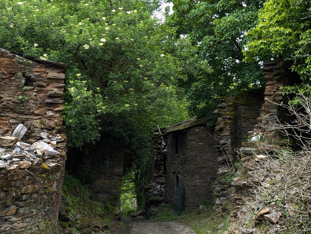 Pronunciado ascenso desde la carretera hasta el pueblo semiabandonado de Hórreos, municipio de Folgoso de Caurel, Lugo, Galicia, España.