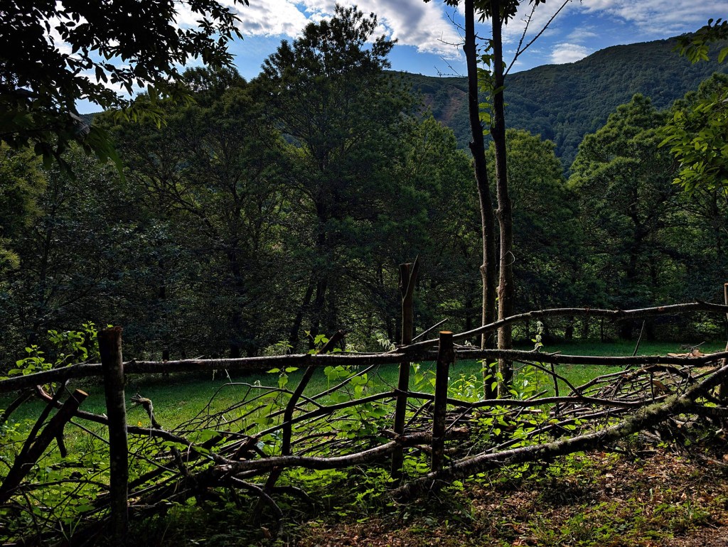 Valla de separación natural frecuente en el pasado siglo en la comarca de El Bierzo; en este caso en las cercanías de pequeña aldea de San Julián, municipio de Vega de Valcarce, El Bierzo, León, España.