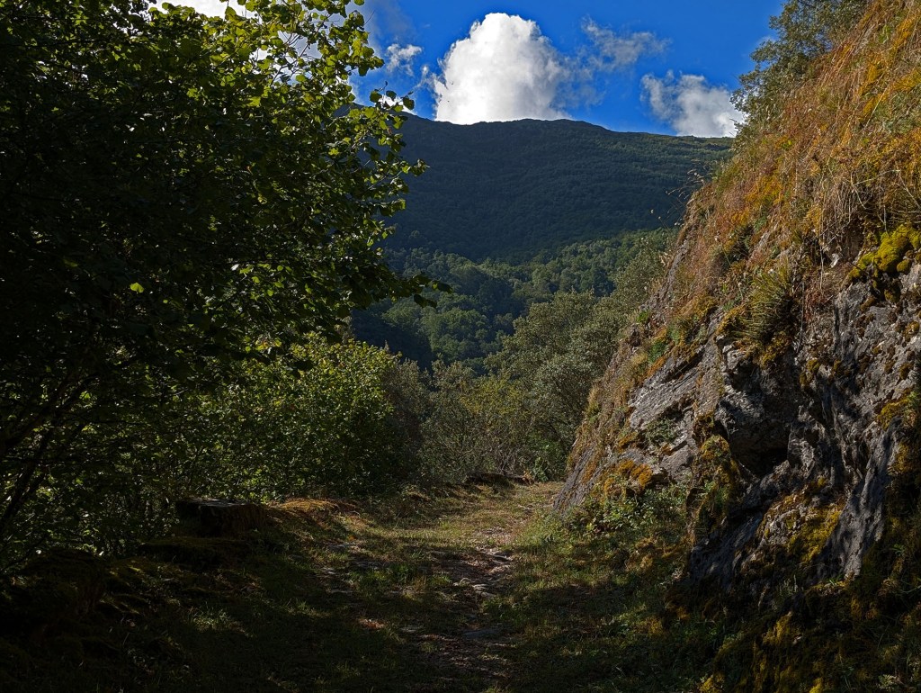 Tramo del camino en la ruta de Devesa da Rogueira que se inicia en Moreda, Seoane, Folgoso de Caurel, Lugo, Galicia, España.