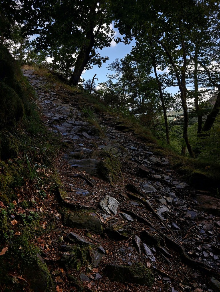 Moreda, Folgoso do Caurel, Lugo, Galicia, España.