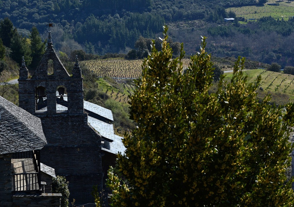 En Moreda, Vega de Espinareda, El Bierzo, León, Castilla y León, España.