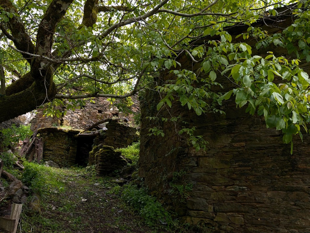 En la aldea de Hórreos, Folgoso de Caurel, Lugo, Galicia, España.