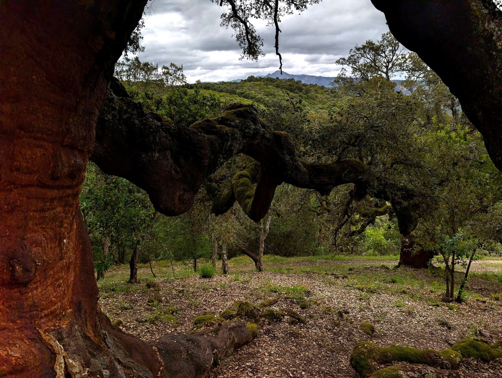 Senda de los Zufreiros del Frade, en las inmediaciones de la localidad de Lago de Carucedo, Carucedo, El Bierzo, León, Castilla y León, España.