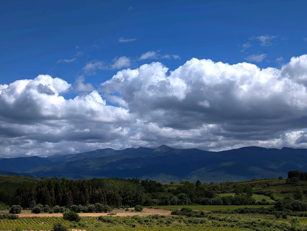 El Valín, Cacabelos, El Bierzo, León, Castilla y León, España.