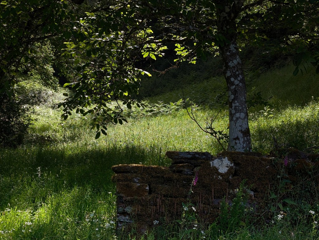 La Portela de Valcarce, Vega de Valcarce, El Bierzo, León, Castilla y León, España.