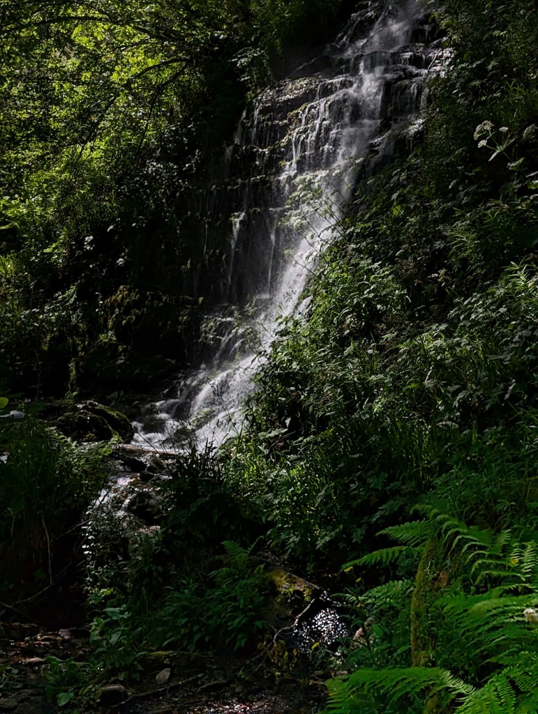 Salto de agua en el hayedo de Busmayor, Barjas, El Bierzo, León, Castilla y León, España.