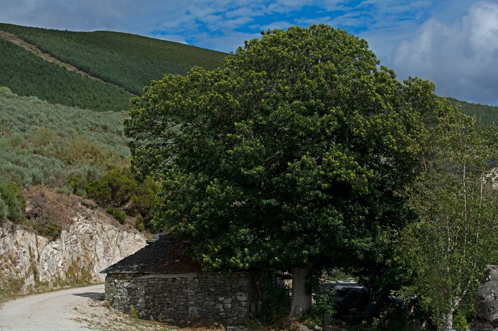 Campo del Agua, Villafranca del Bierzo, El Bierzo, León, Castilla y León, España.