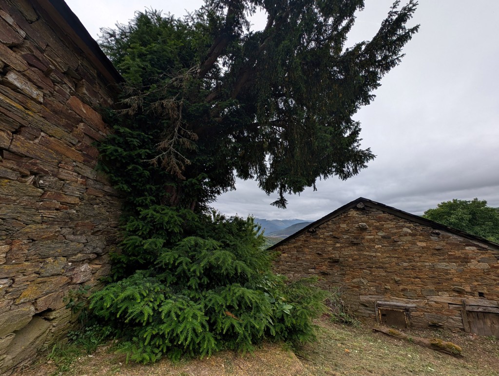 Pumarín, Balboa, El Bierzo, León, Castilla y León, España.