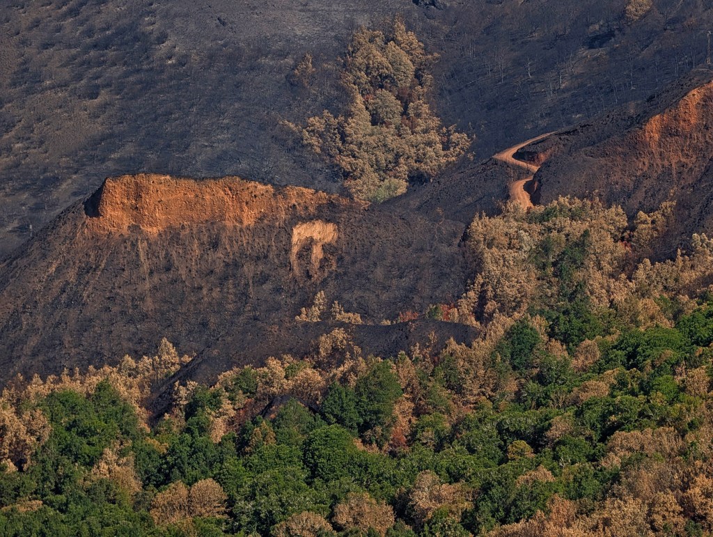 En las cercanías de Paradiña y de Prado de Somoza, Villafranca del Bierzo, el Bierzo, León, Castilla y León, España.
