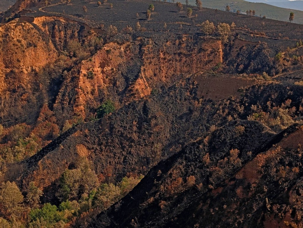 Le Leitosa entre Veguellina y Prado de Somoza, Villafranca del Bierzo, El Bierzo, León, Castilla y León, España.