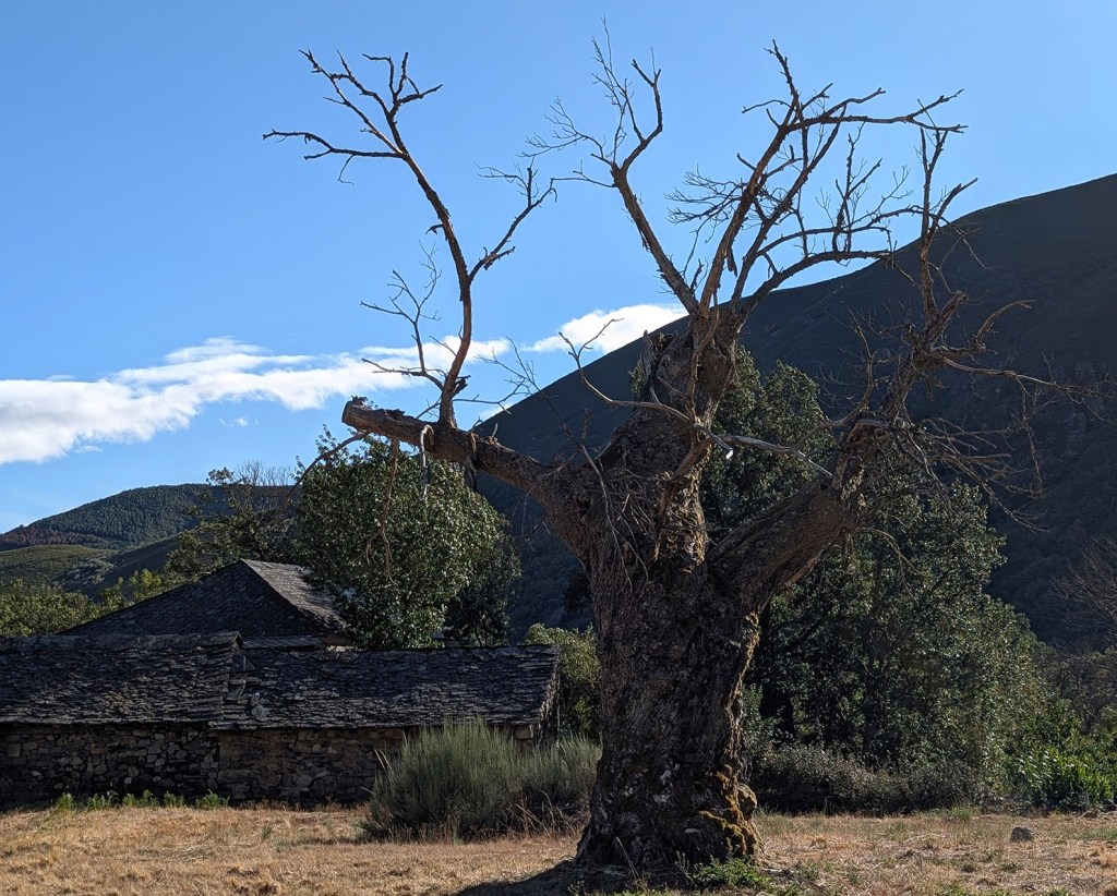 Burbia, Vega de Espinareda, El Bierzo, León, Castilla y León, España.