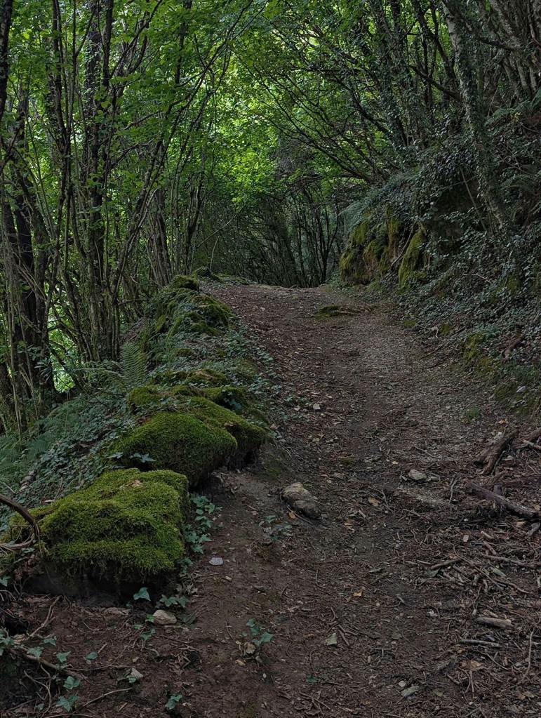 Moreda, Seoane, Folgoso de Caurel, Lugo, Galicia, España.