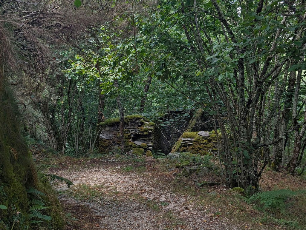 Moreda, Seoane, Folgoso de Caurel, Lugo, Galicia, España.